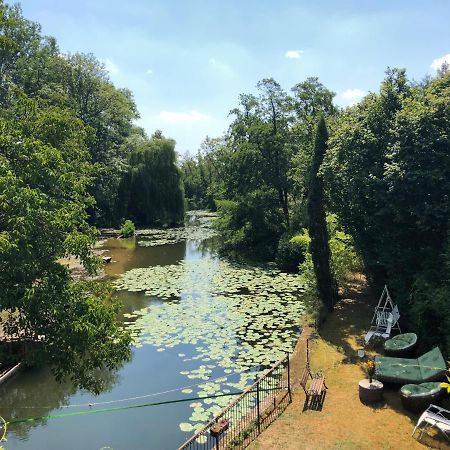 Magnifique Moulin Proche Chablis, Jacuzzi Et Riviere Annay-sur-Serein Exterior foto
