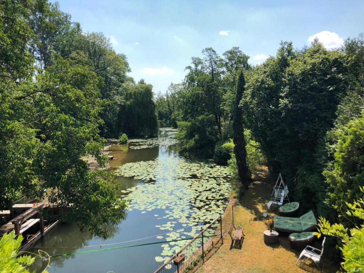 Magnifique Moulin Proche Chablis, Jacuzzi Et Riviere Annay-sur-Serein Exterior foto