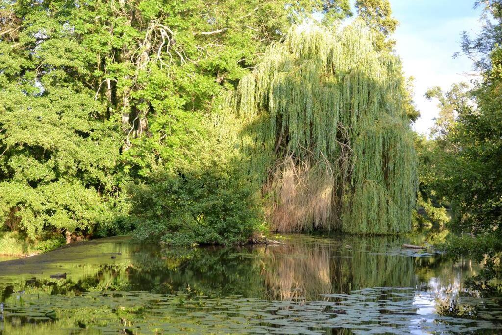 Magnifique Moulin Proche Chablis, Jacuzzi Et Riviere Annay-sur-Serein Exterior foto