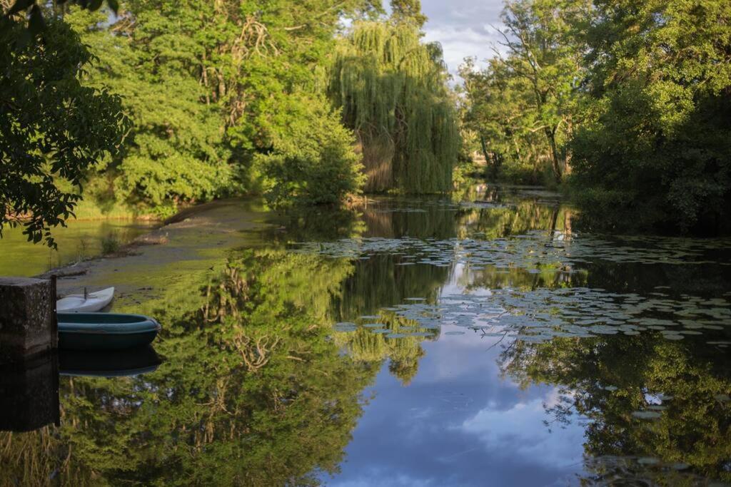 Magnifique Moulin Proche Chablis, Jacuzzi Et Riviere Annay-sur-Serein Exterior foto