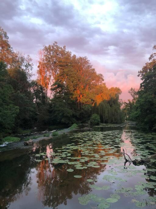 Magnifique Moulin Proche Chablis, Jacuzzi Et Riviere Annay-sur-Serein Exterior foto
