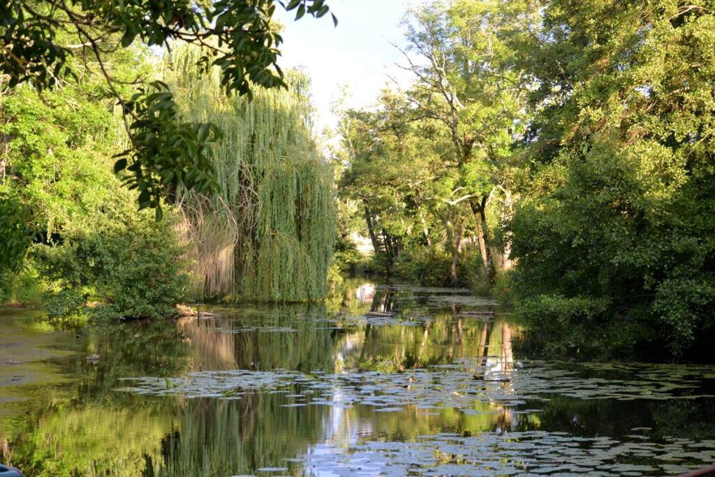 Magnifique Moulin Proche Chablis, Jacuzzi Et Riviere Annay-sur-Serein Exterior foto