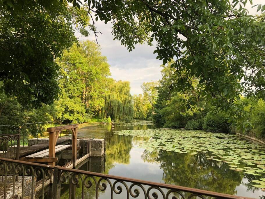 Magnifique Moulin Proche Chablis, Jacuzzi Et Riviere Annay-sur-Serein Exterior foto
